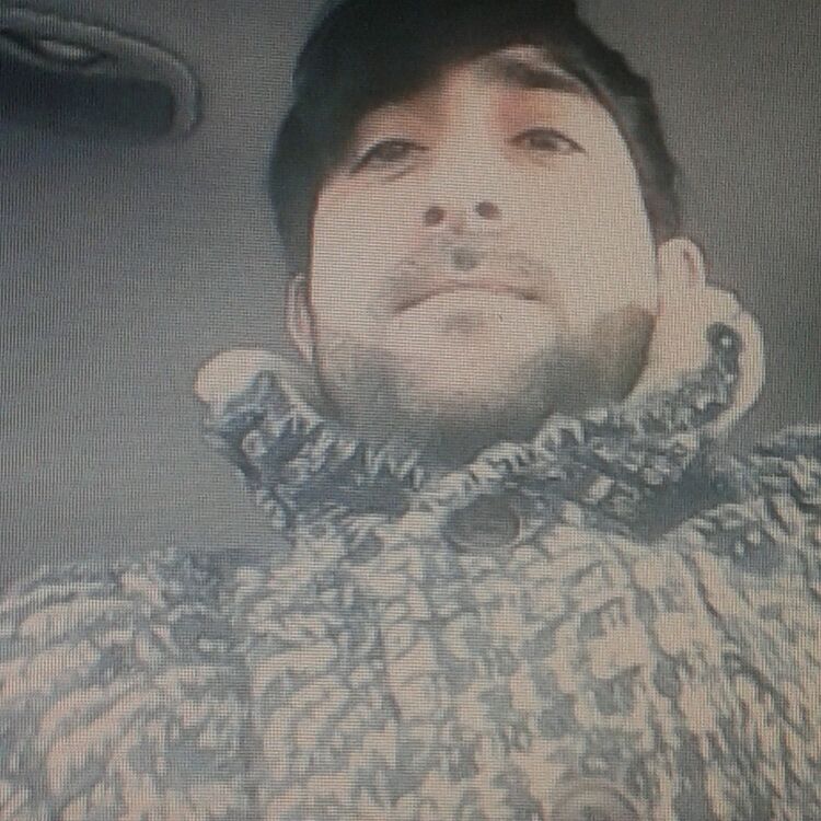 ���������� �����, ���� ������� Maqa, 40 ���, ������������ ��� ������, ����� � ���������, c�������� ���������