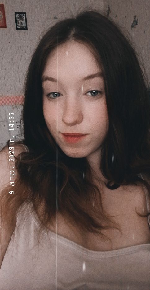  33729201  , 21 ,    