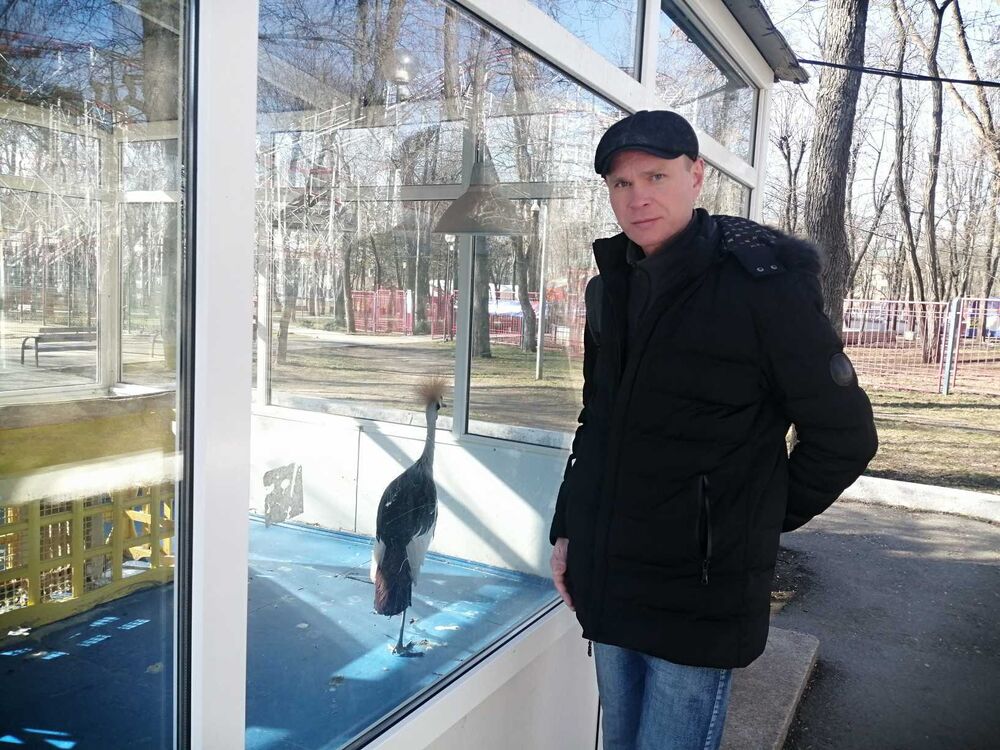 ���� 24341941 ������� ��������, 46 ���, ���� ���������� � ���������