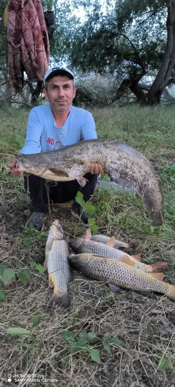  44748771  , 45 ,    