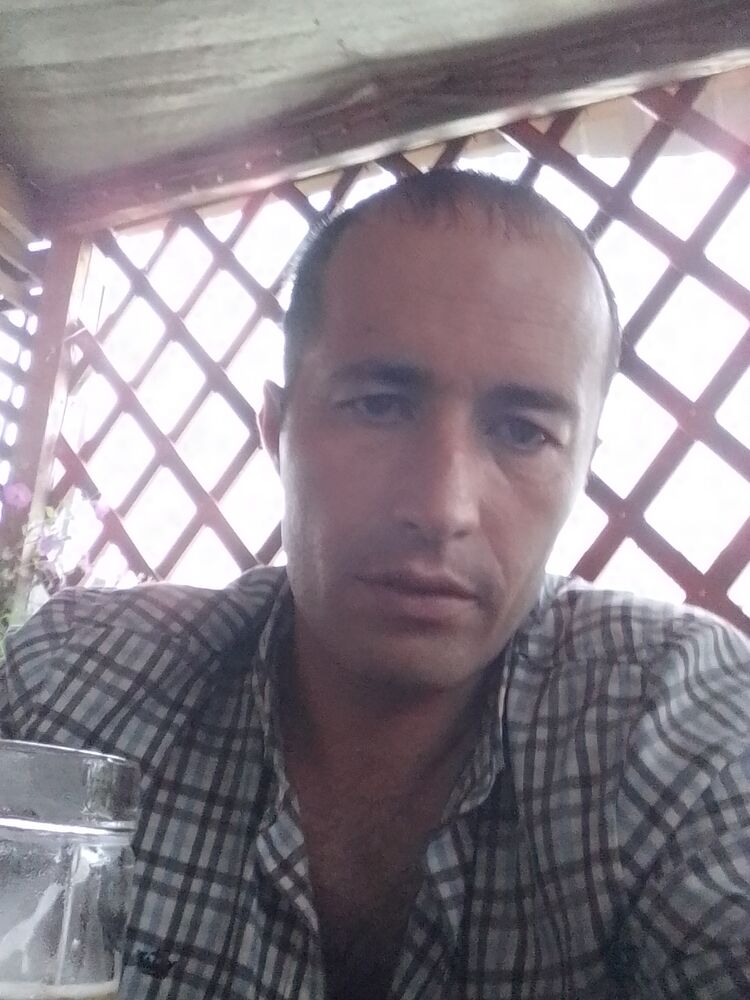 ���� 32203801 ������� �������, 40 ���, ���� ���������� � ����