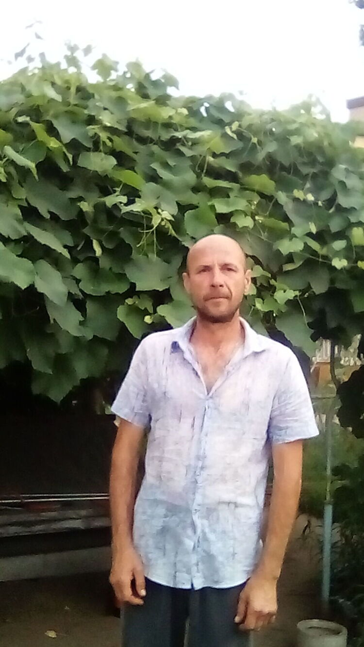  36251391  , 55 ,    