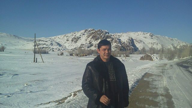  4246851  , 42 ,    -