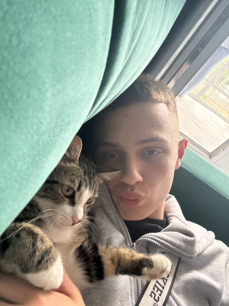  53856351  , 18 ,    -