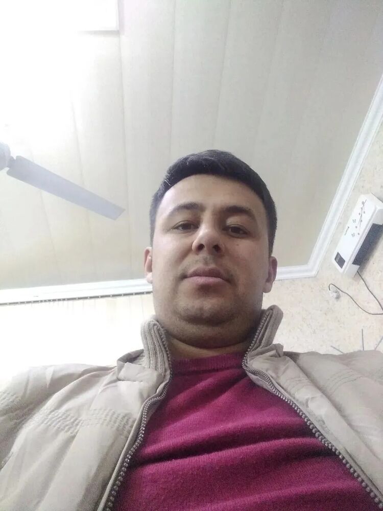  50356321  , 32 ,    