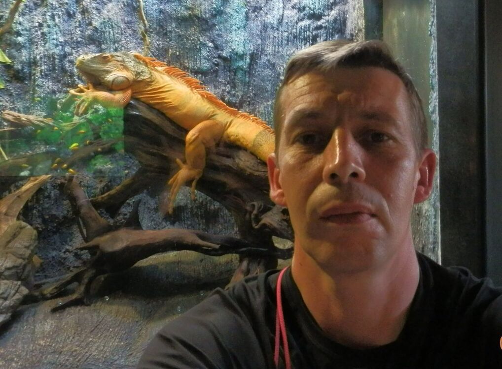 ���������� �����, ���� ������� ���������, 52 ����, ������������ ��� ������, ����� � ���������, c�������� ���������