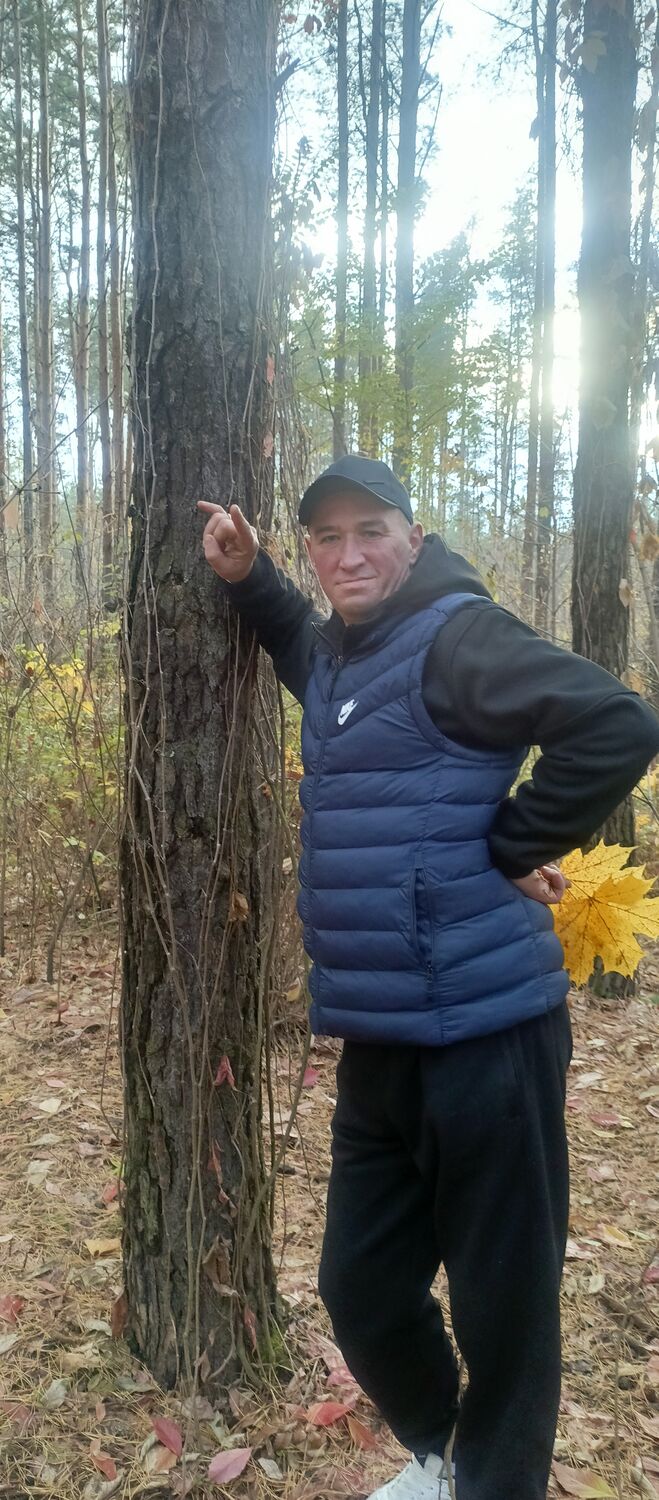 ���� 55126581 ������� �����, 46 ���, ���� ���������� � ���������� ������