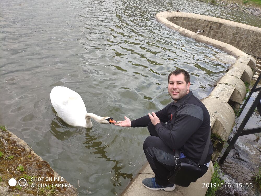 ���������� �������, ���� ������� ���������, 38 ���, ������������ ��� ������, ����� � ���������