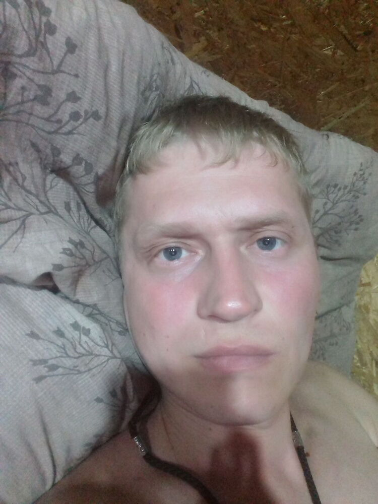  33473611  , 40 ,    