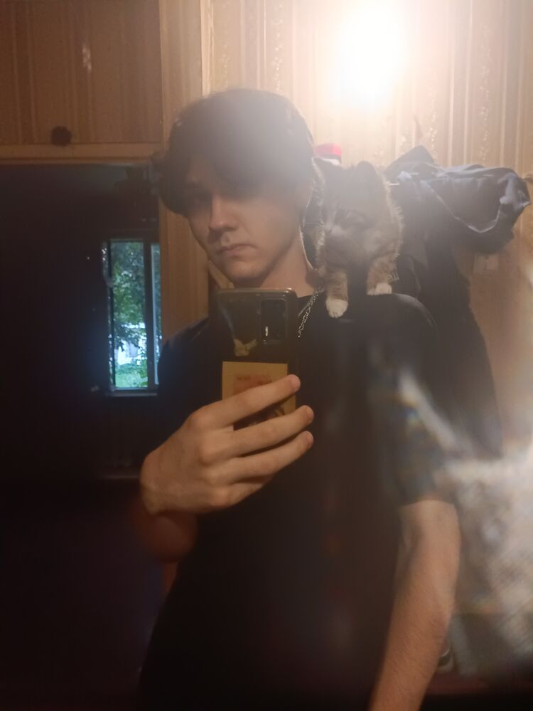 ���� 44589981 ����� ������, 24 ����, ���� ���������� � ������