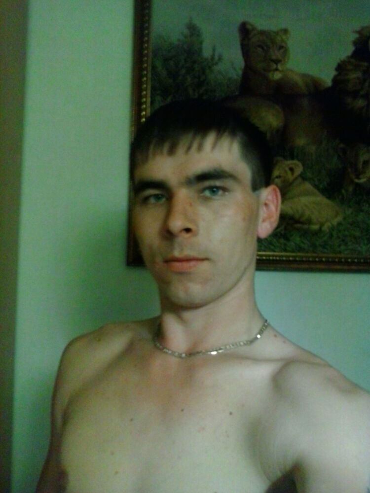  4928811  , 33 ,    