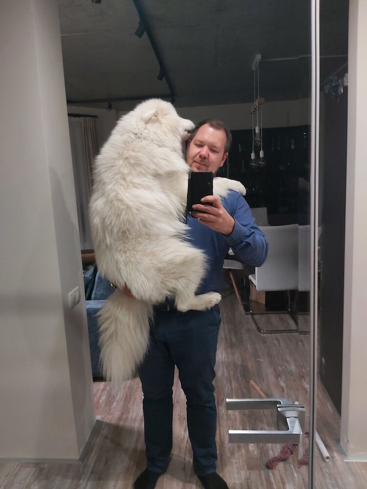 ���� 48167241 ������� �������, 40 ���, ���� ���������� � ������