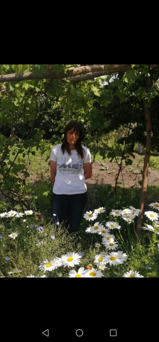 ���������� ���������, ���� ������� ���, 38 ���, ������������ ��� ����� � ���������, ���������