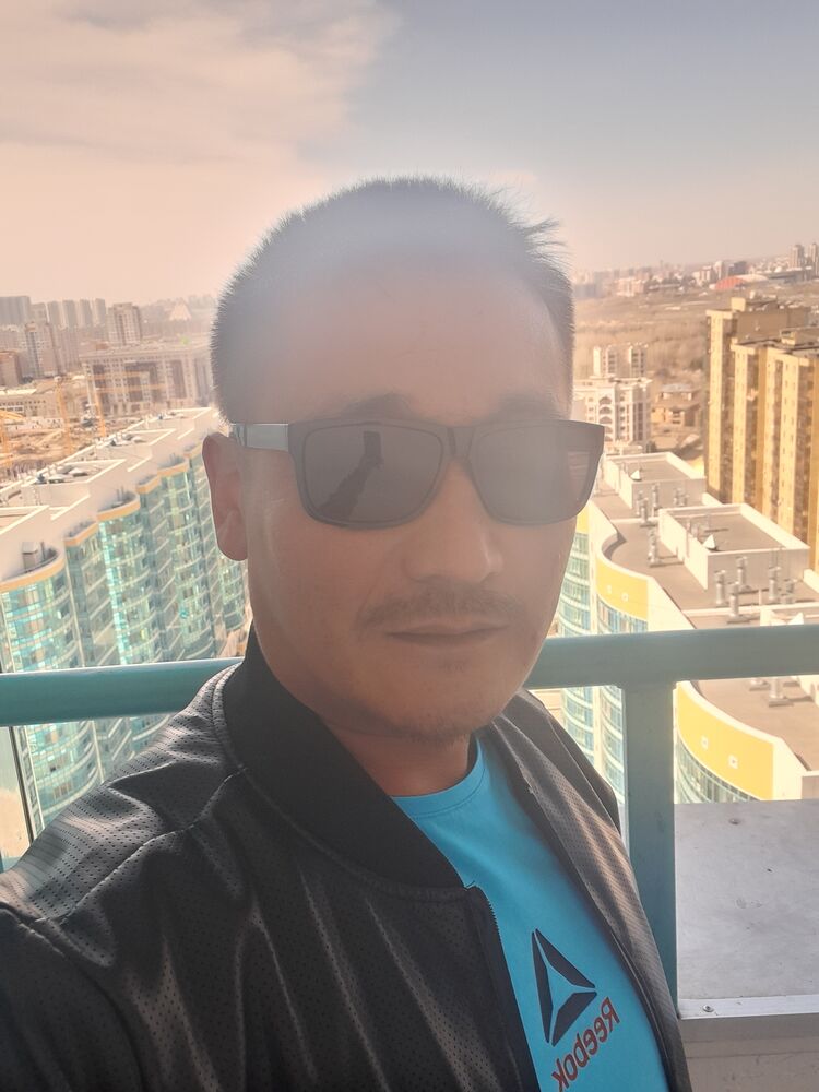  33265381  , 41 ,    