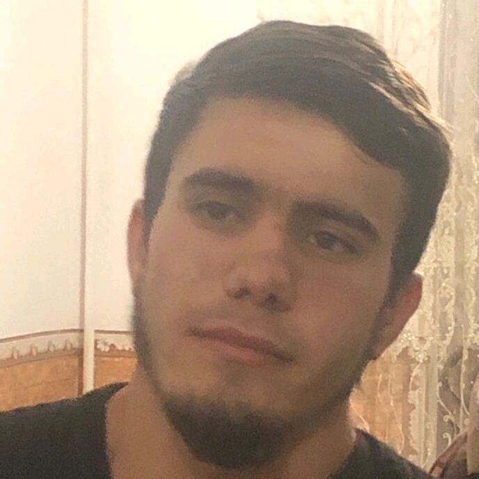  31578411  , 24 ,    --
