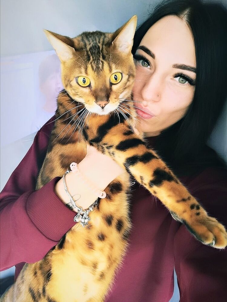 ���� 21250651 ������� ��������, 29 ���, ���� ���������� � �����-����������