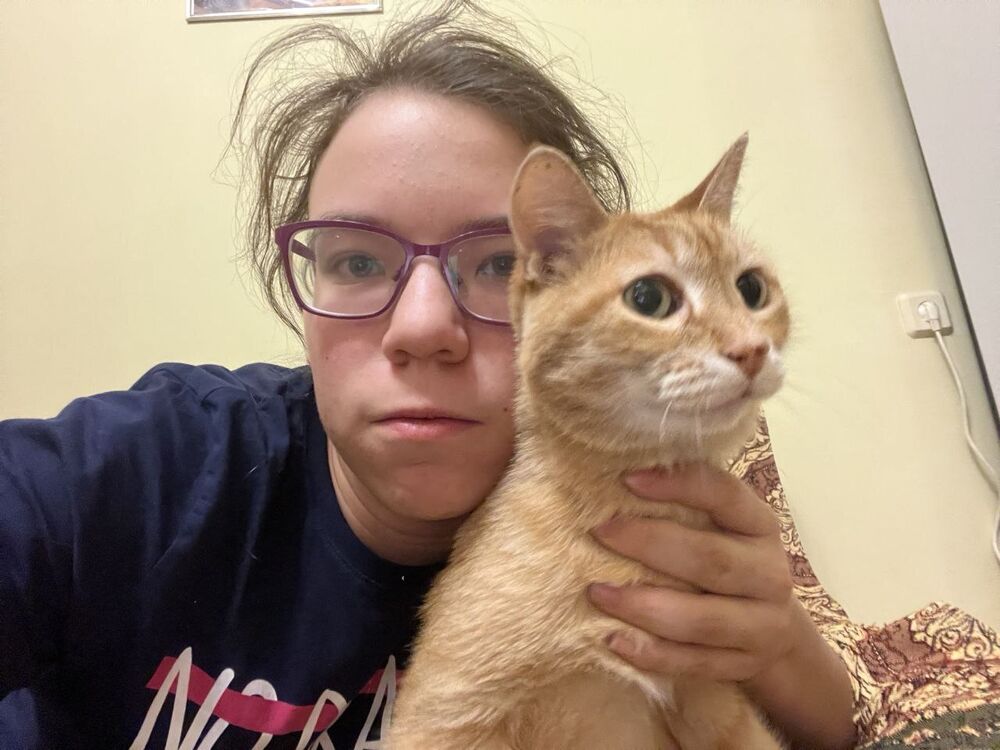 ���� 47235311 ������� �����, 19 ���, ���� ���������� � ����������