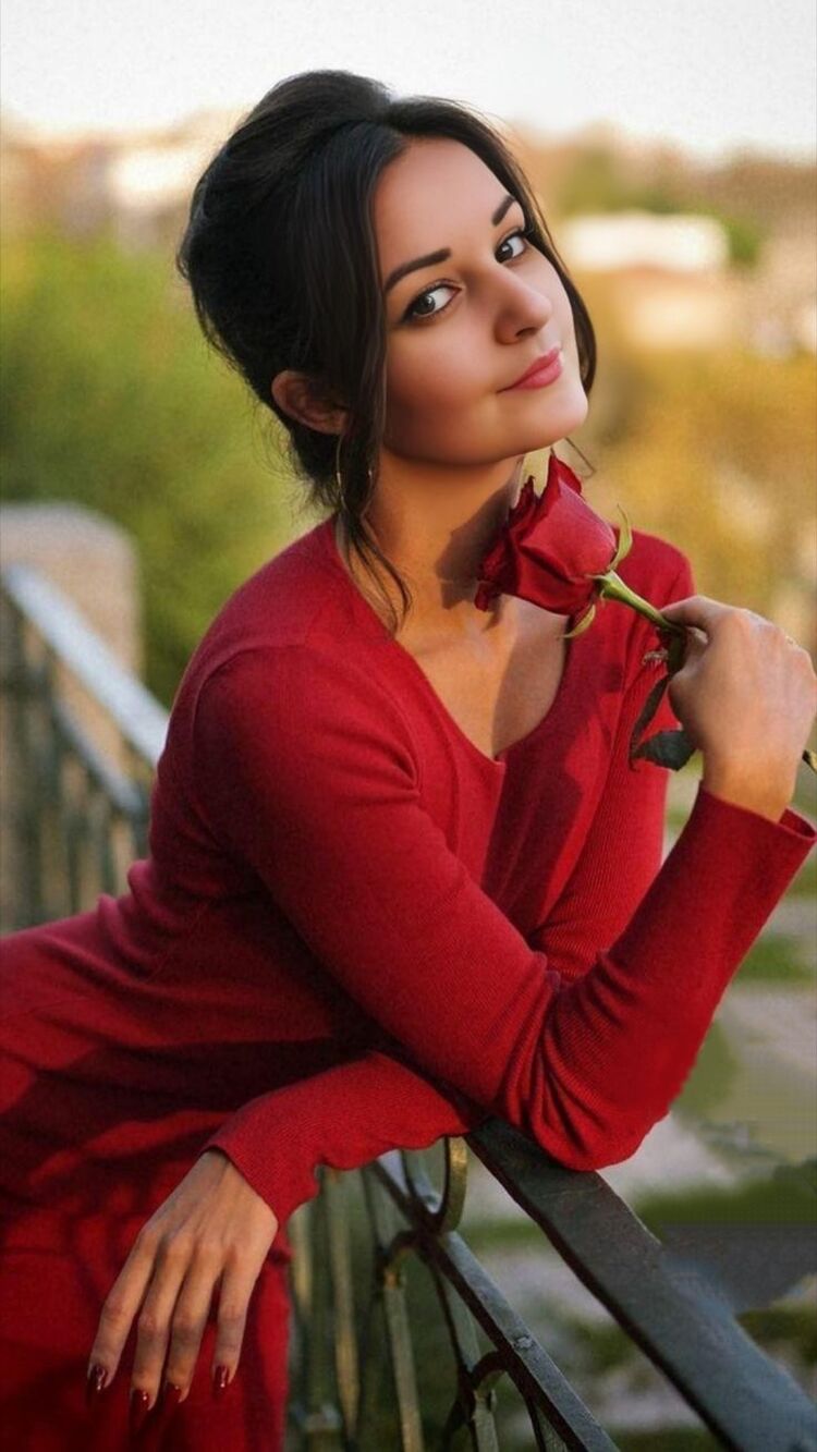 ���� 49538191 ������� ����, 36 ���, ���� ���������� � ������