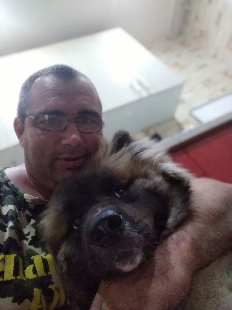 ���������� �����, ���� ������� ������, 49 ���, ������������ ��� ������, ����� � ���������