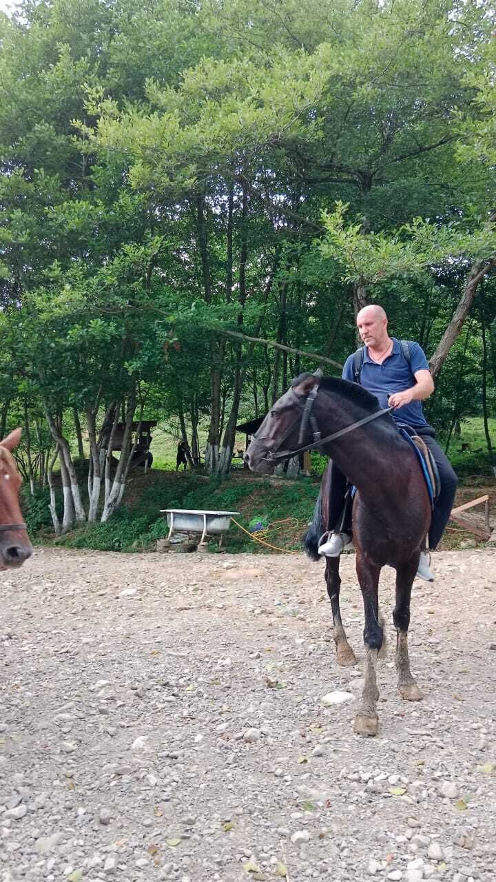  38242271  , 44 ,    