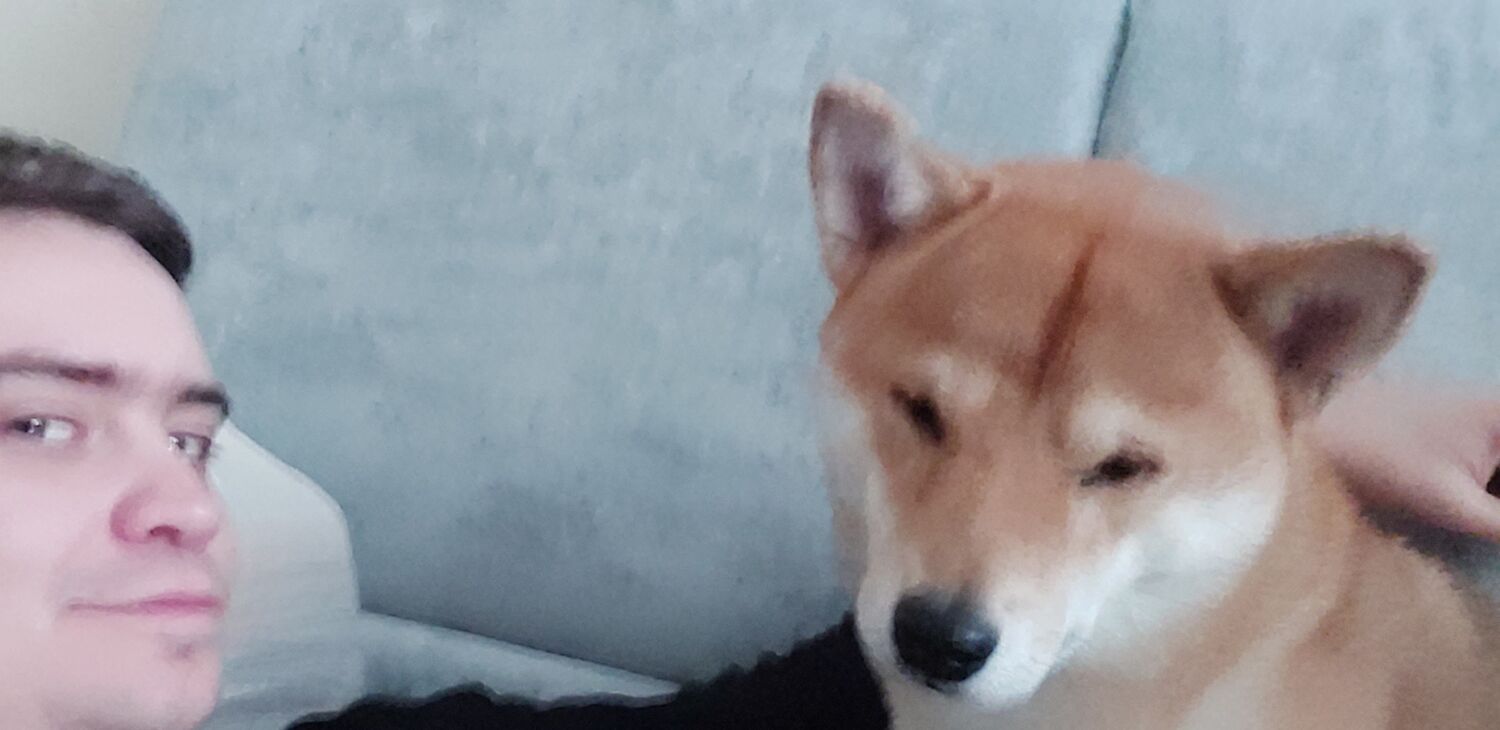 ���������� ���������, ���� ������� ������, 30 ���, ������������ ��� ������, ����� � ���������