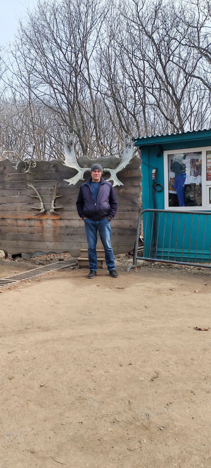 ���� 55065931 ������� ������, 51 ���, ���� ���������� � �������