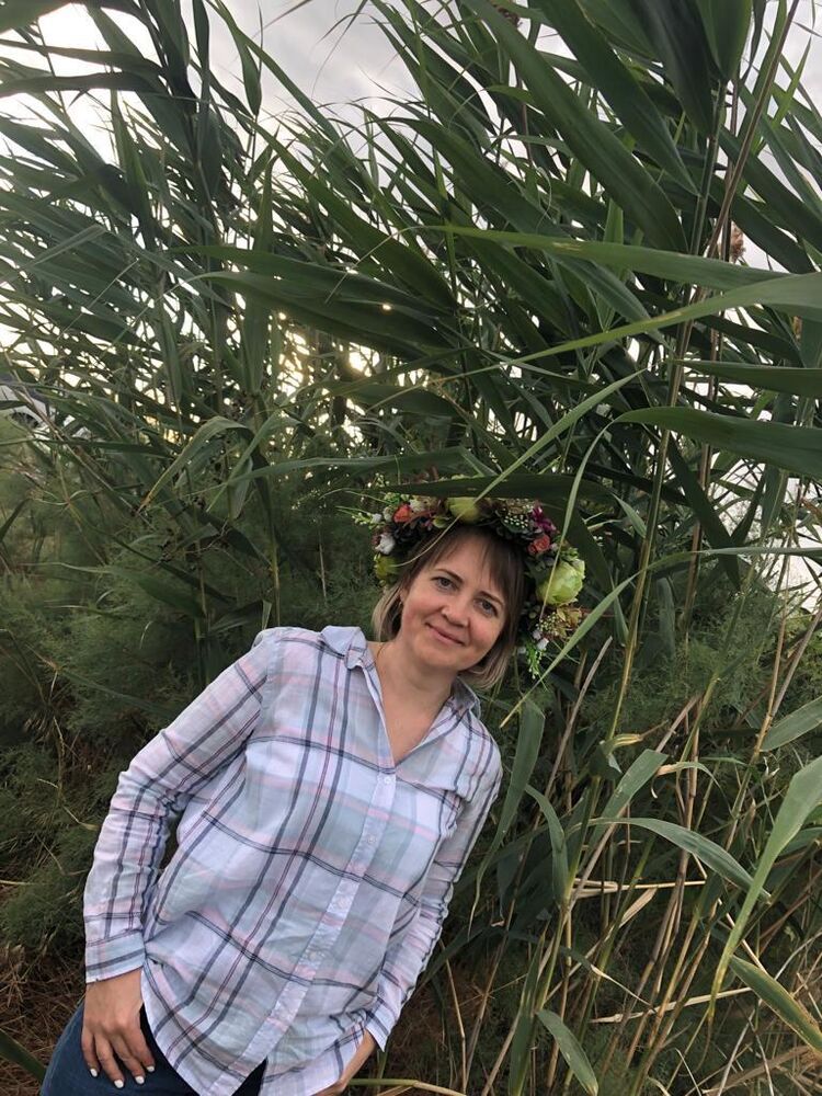  53852721  , 42 ,    --