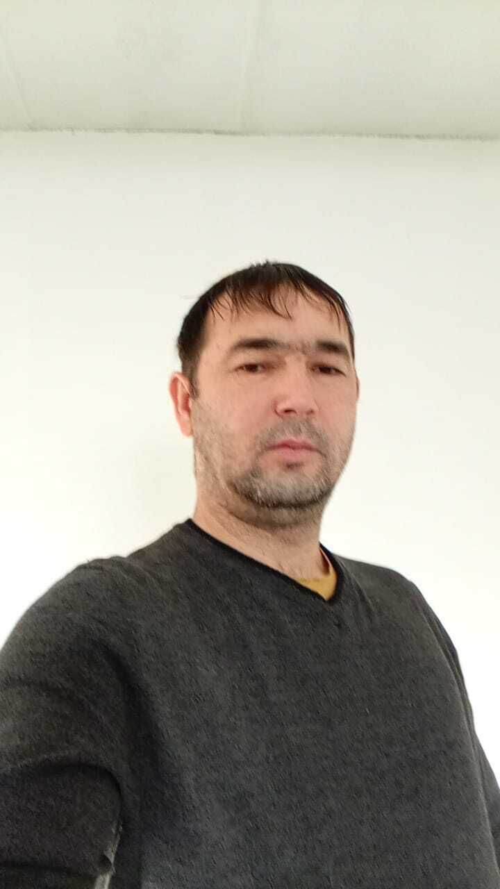  42447951  , 33 ,    