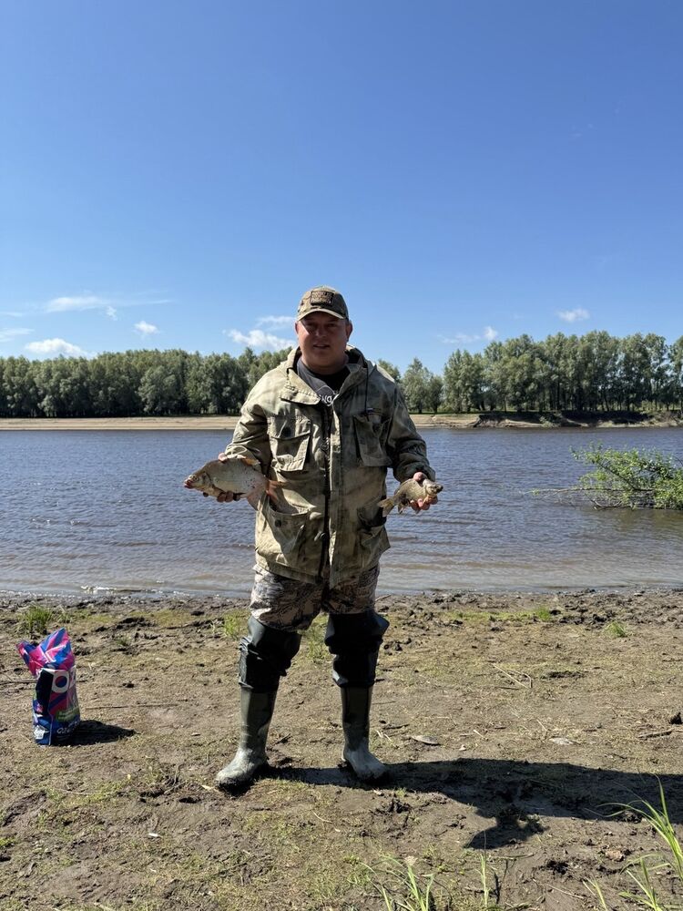 ���� 52654291 ������� �������, 35 ���, ���� ���������� � ������