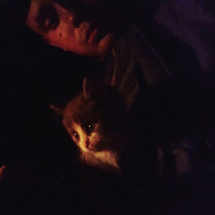 ���������� �������, ���� ����� ����, 24 ����, ������������ ��� ������, ����� � ���������, ���������