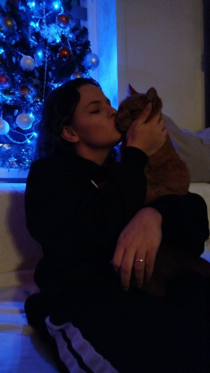 ���������� �����������, ���� ������� �����, 18 ���, ������������ 