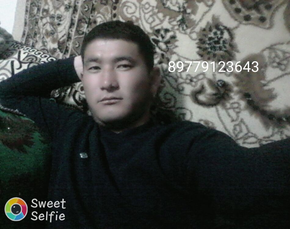  24758391  , 31 ,    
