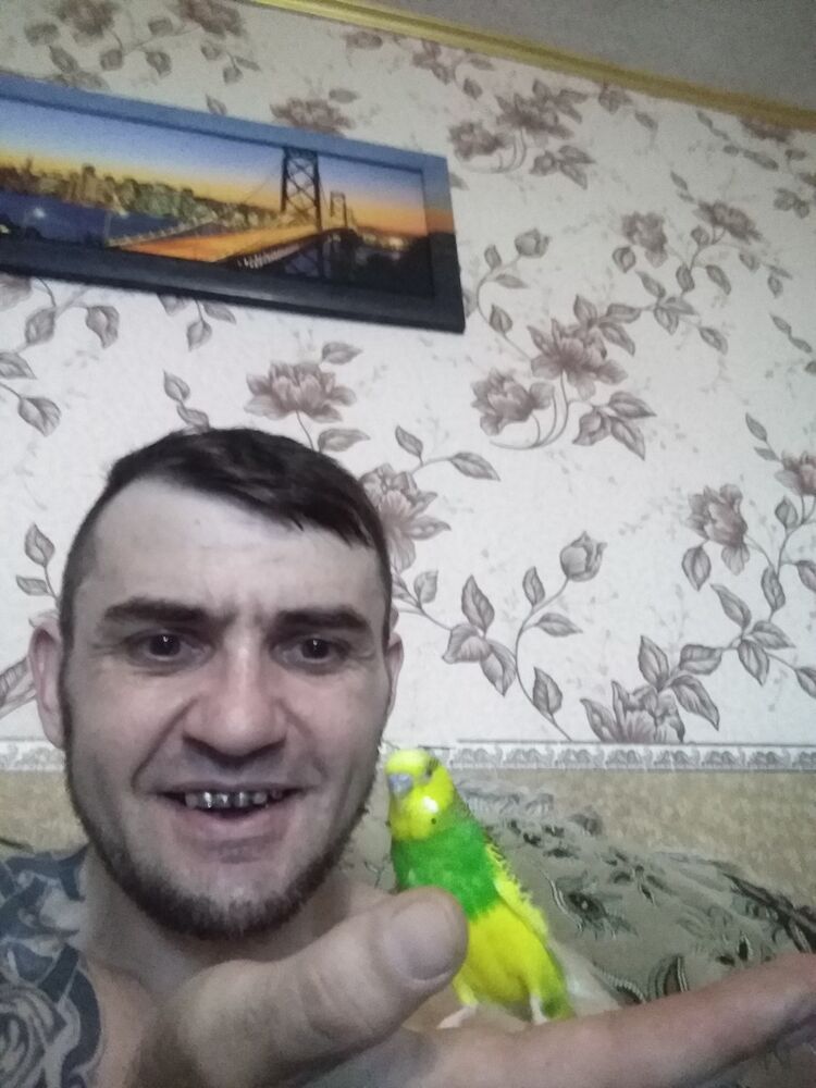 ���������� ��������, ���� ������� ������, 49 ���, ������������ ��� ������