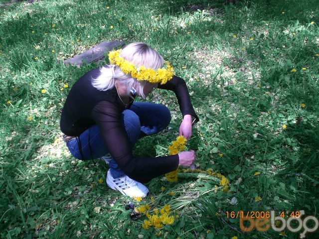 ���� 935381 ������� �������, 51 ���, ���� ���������� � �����