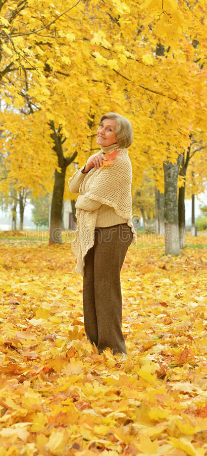 ���� 56054591 ������� �������, 52 ����, ���� ���������� � ���������