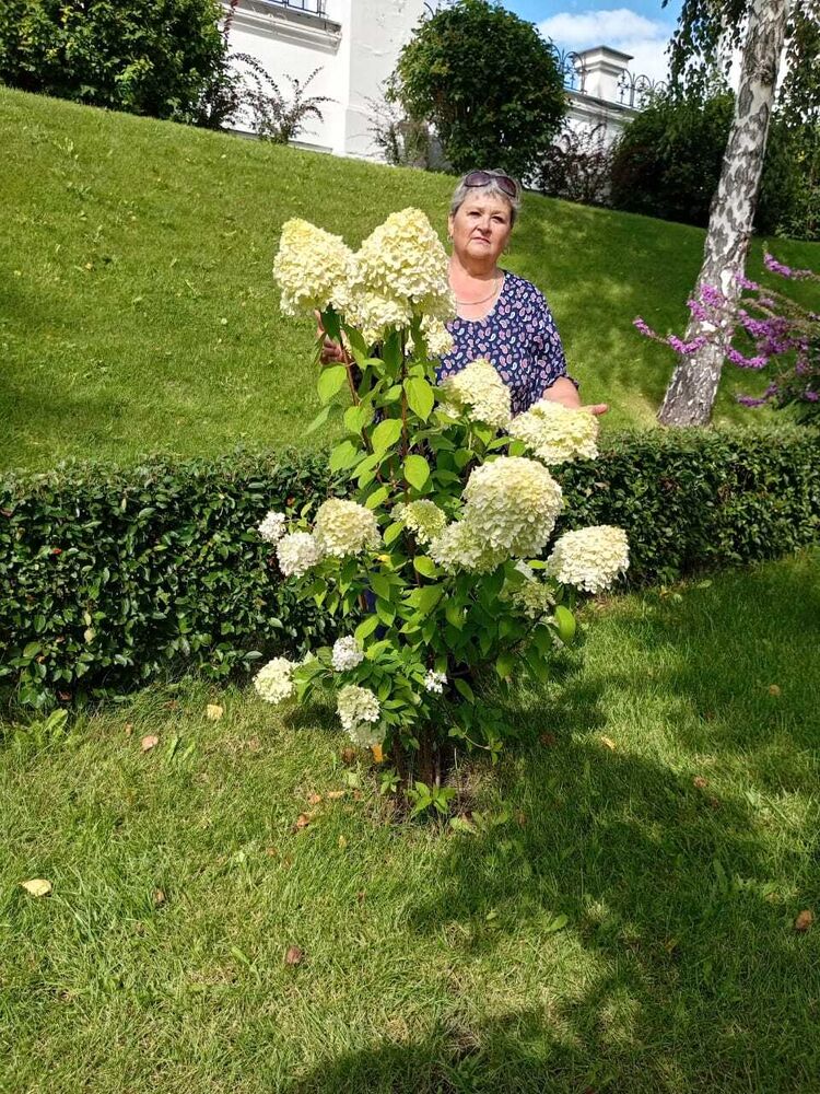  45658561  Larisa, 63 ,    