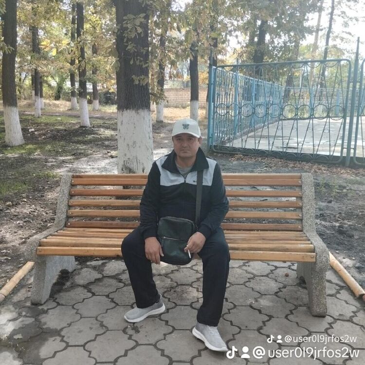  49118711  , 46 ,    