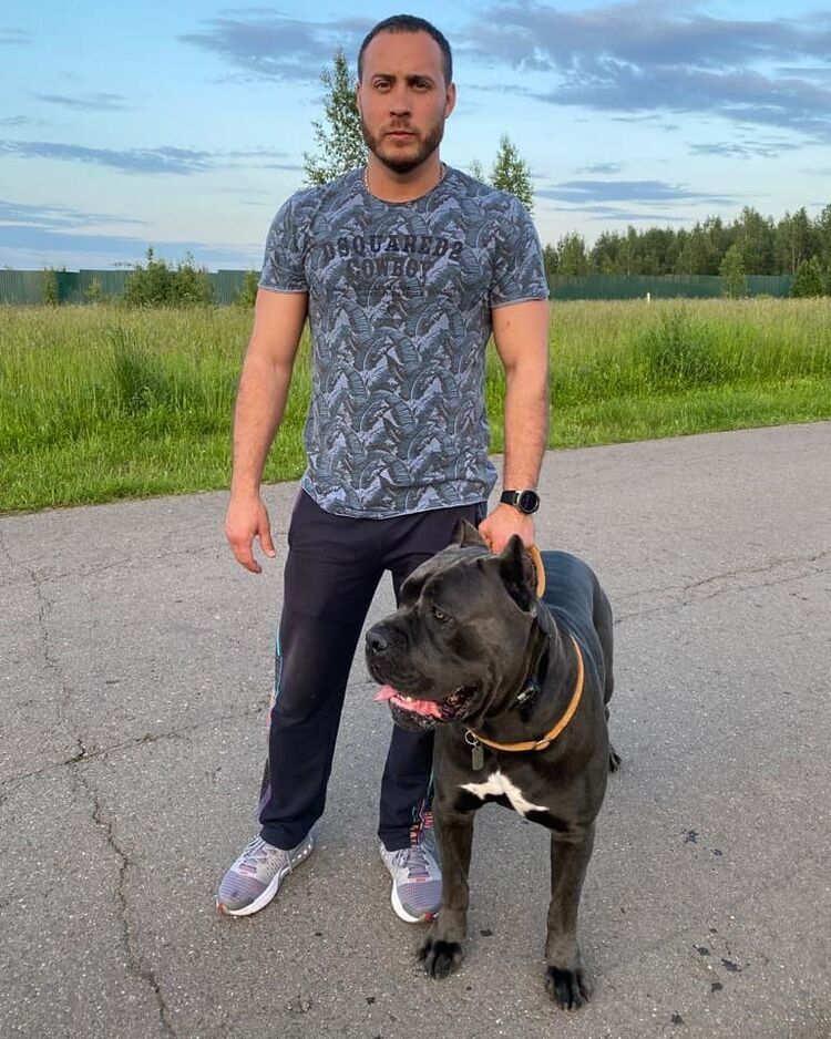 ���������� ������������, ���� ������� ���������, 36 ���, ������������ ��� c�������� ���������