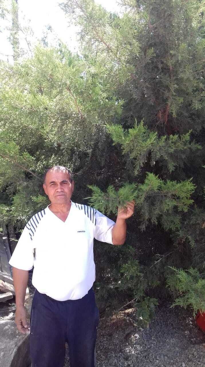  50863101  , 52 ,    -