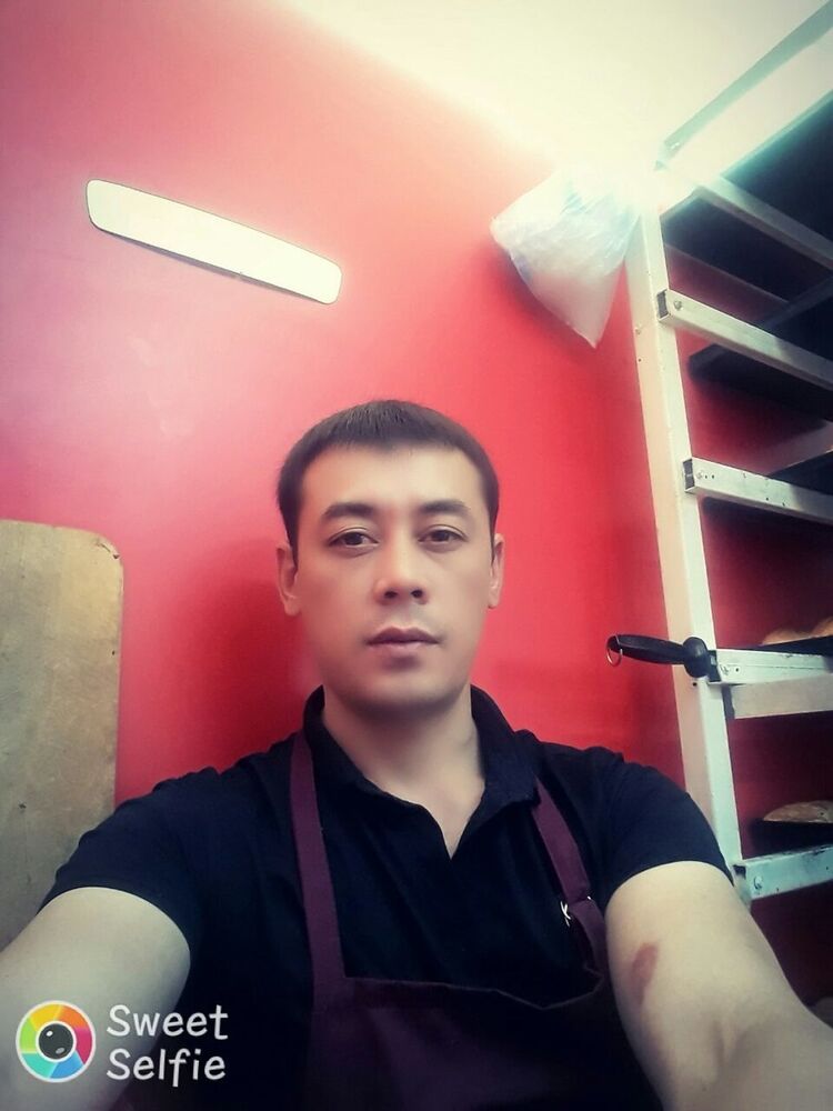  17840781  , 38 ,    