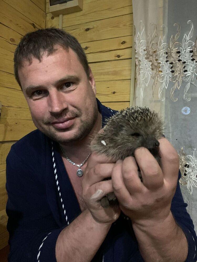 ���� 25107231 ������� �������, 43 ����, ���� ���������� � ������