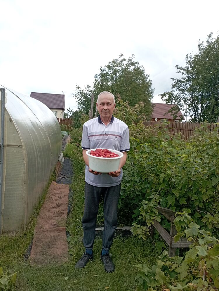 ���������� ������, ���� ������� �������, 61 ���, ������������ ��� c�������� ���������, ���������