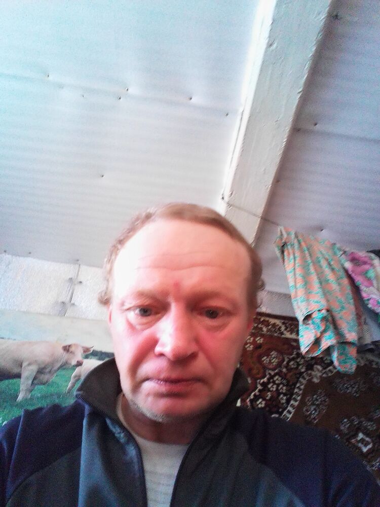 ���� 38724631 ������� �������, 50 ���, ���� ���������� � ���