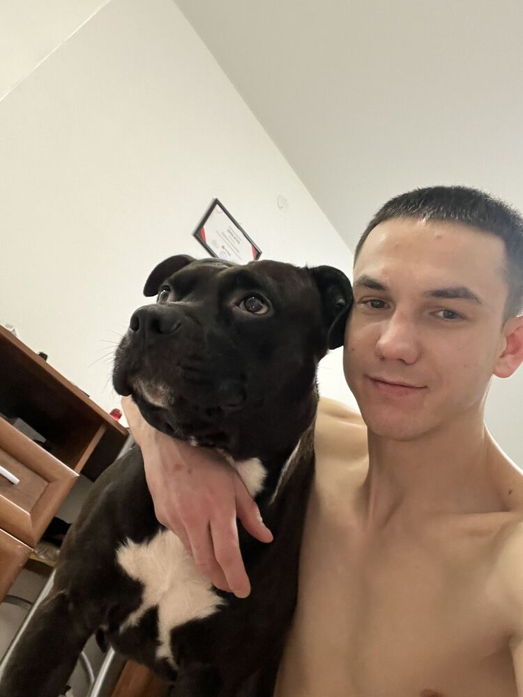 ���������� ������, ���� ������� ���������, 34 ����, ������������ ��� ����� � ���������, c�������� ���������