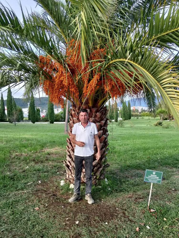 ���������� ����������, ���� ������� ������, 59 ���, ������������ ��� ������, ����� � ���������, c�������� ���������