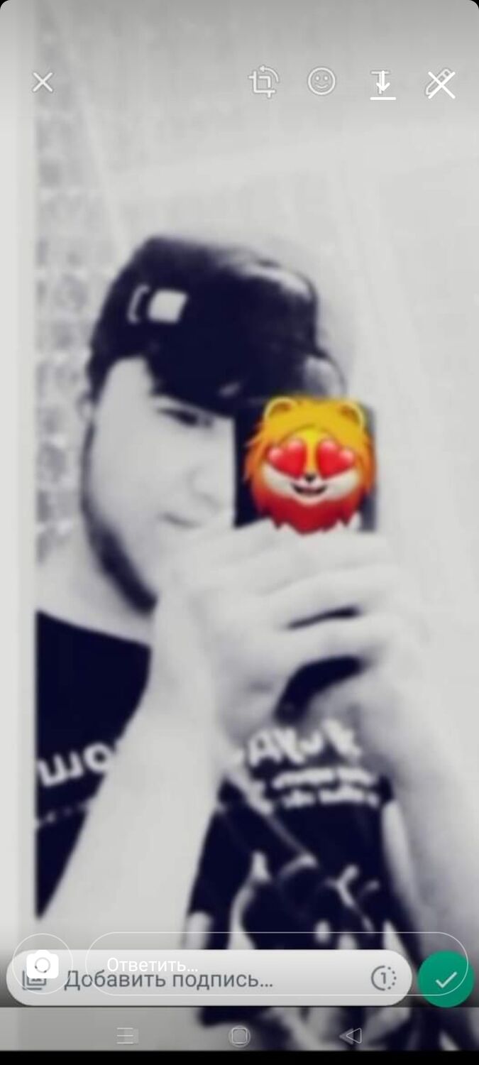 ���� 30145661 ����� ��������, 22 ����, ���� ���������� � ������