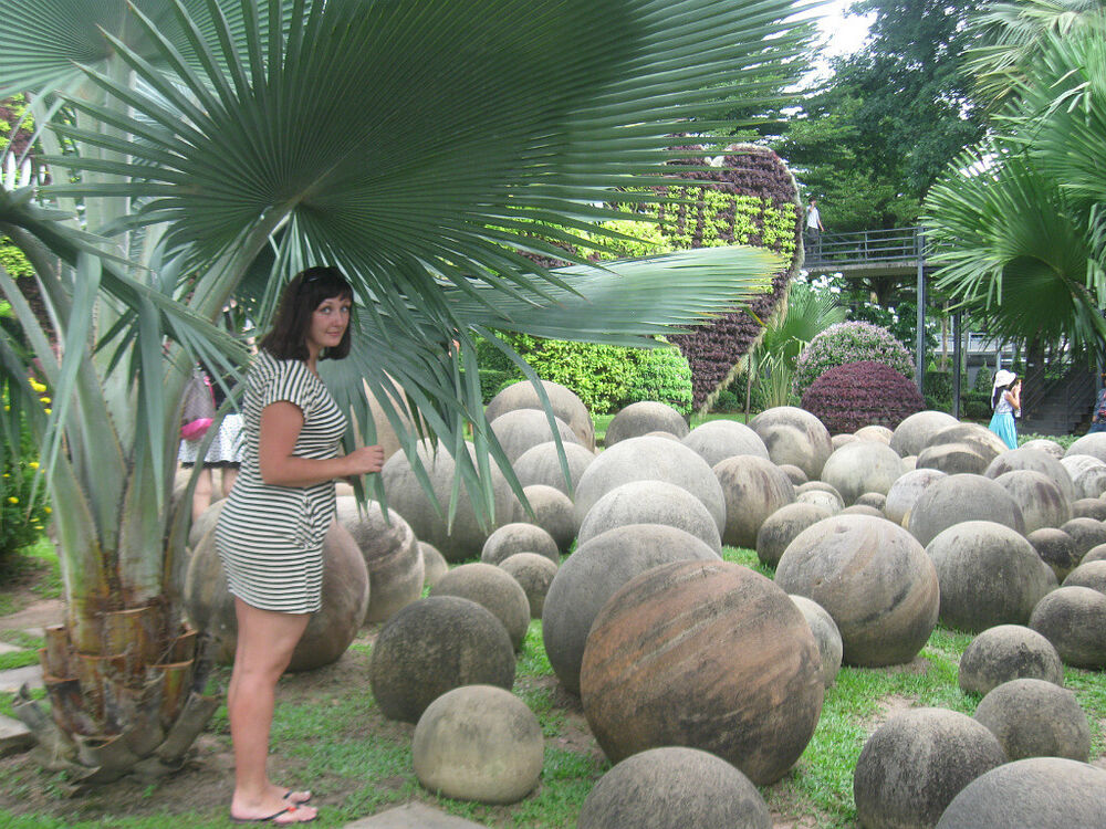 ���� 55794851 ������� �����, 45 ���, ���� ���������� � ������