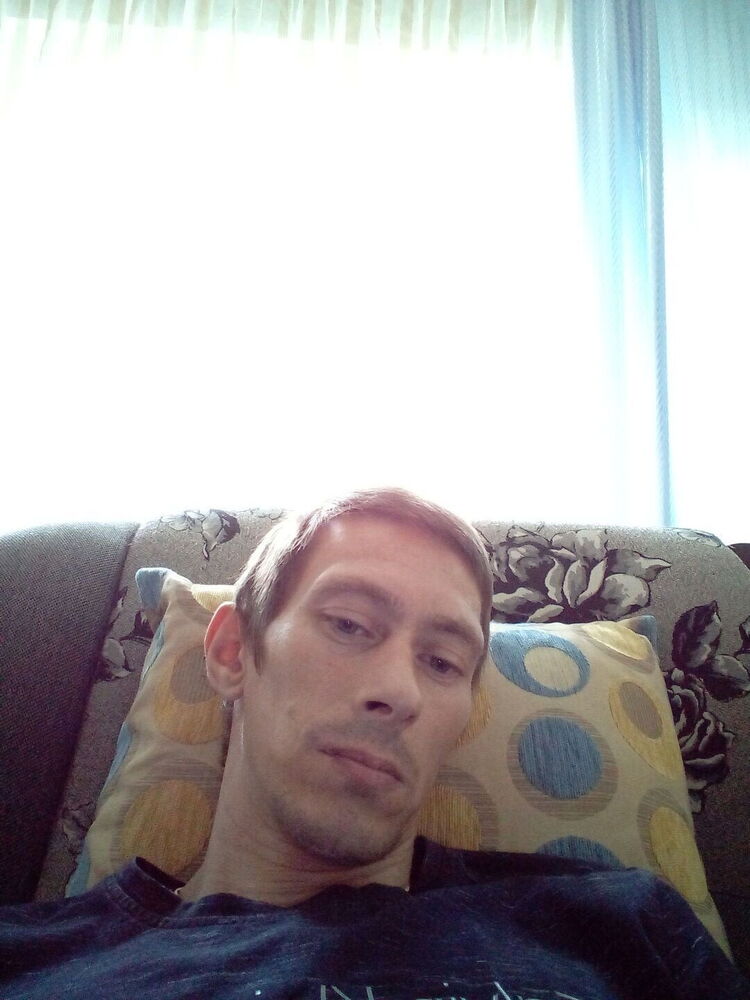  23382081  , 43 ,    