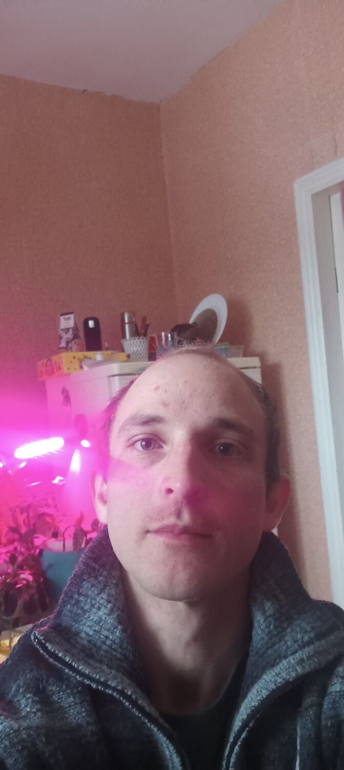 ���� 55569831 ������� �������, 31 ���, ���� ���������� � ��������