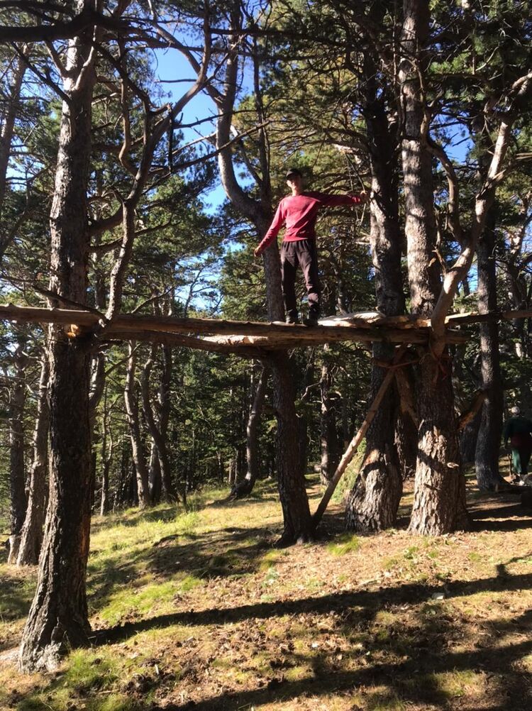 ���������� ���������, ���� ����� �����, 20 ���, ������������ ��� ������, ����� � ���������